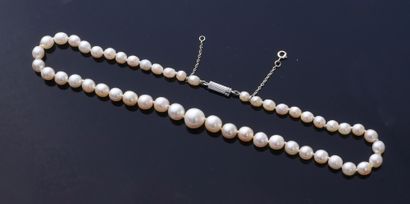 null Collier en chute de perles fines, composé de 50 perles blanc crème de 4,5 à...