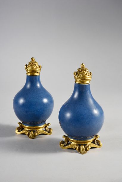 null Paire de petits vases en porcelaine de la Chine de formes balustre à décor bleu...