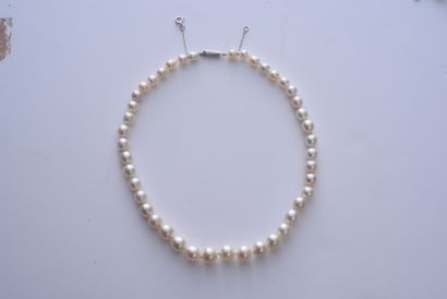null Collier en chute de perles fines, composé de 43 perles blanc crème de 6,0 à...