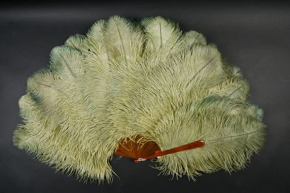 null Green feathers, circa 1890-1900

Ostrich feather fan with green tint. 

Blonde...