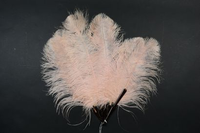 null Ostrich feathers, circa 1890-1900

Ostrich feather fan, half-full, yellow tinted....