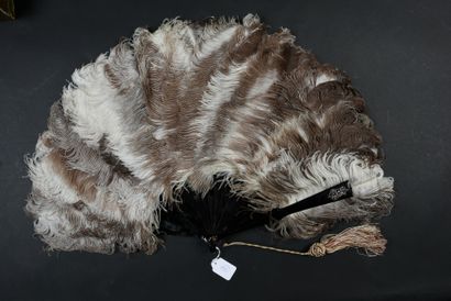 null 
Ostrich feathers, ca. 1880-1890





Fan made of female ostrich feathers.





Brown...