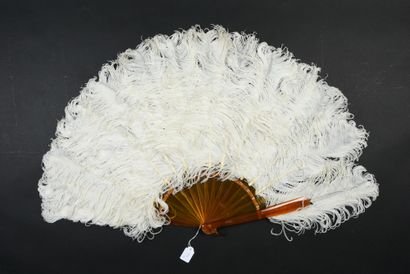 null Two fans, circa 1880-1890

One, made of white ostrich feathers. Blonde tortoiseshell...