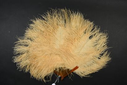 null Ostrich feathers, circa 1890-1900

Ostrich feather fan, half-full, yellow tinted....