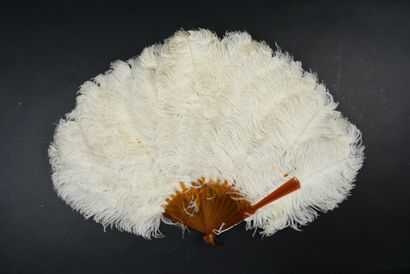 null Plumes blanches, vers 1890

Éventail en plumes d’autruches blanches.

Monture...
