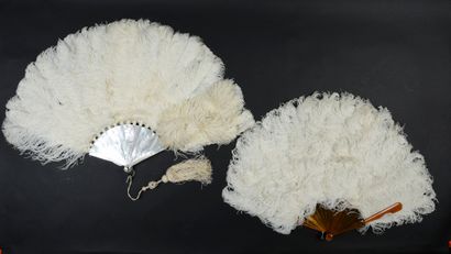 null Autruches blanches, vers 1890

Deux éventails

Éventail en plumes d’autruches...