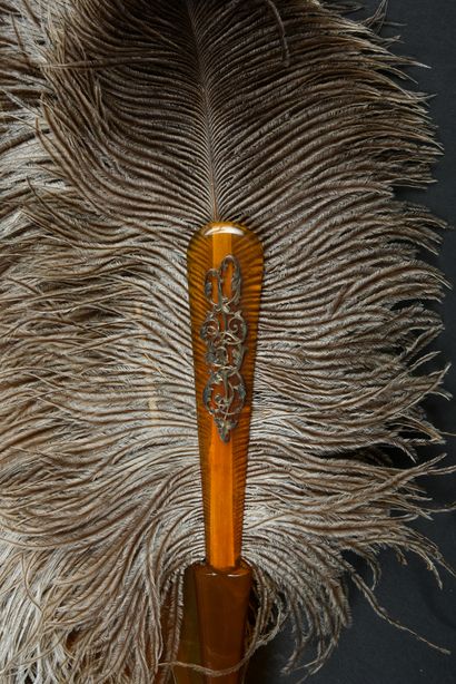 null Ostrich feathers, ca. 1880-1890

Fan made of female ostrich feathers. 

Blonde...