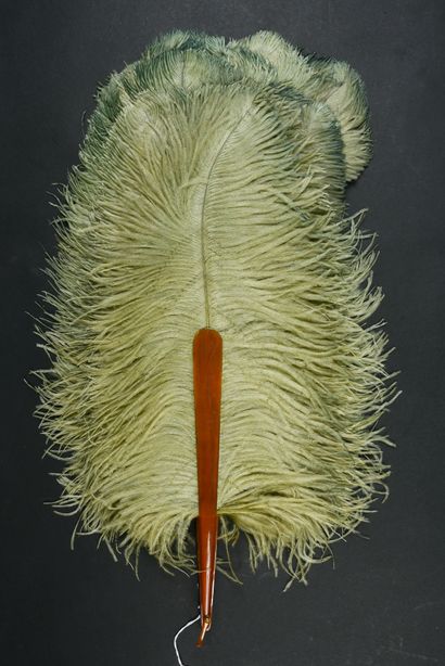 null Green feathers, circa 1890-1900

Ostrich feather fan with green tint. 

Blonde...