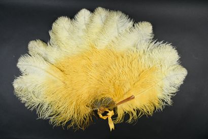 null Plumes vertes, vers 1890-1900

Eventail en plumes d'autruches teintées vert....