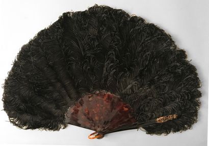 null Plumes noires, vers 1880-1900

Eventail en plumes d'autruches noires frisées.

Monture...