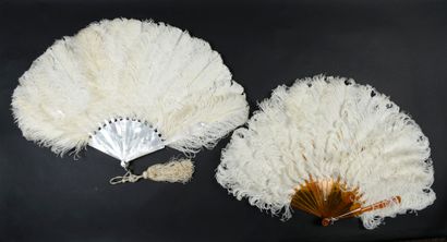 null White ostriches, ca. 1890

Two fans

White ostrich feather fan.

The frame is...