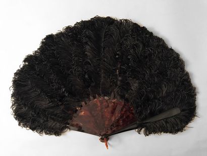 null Black feathers, circa 1880-1900

Black curly ostrich feather fan.

The frame...