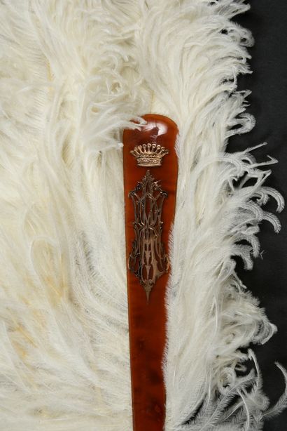 null White feathers, ca. 1890

White ostrich feather fan.

Blonde tortoiseshell**...