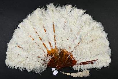 null Plumes blanches, vers 1890

Éventail en plumes d’autruches blanches.

Monture...