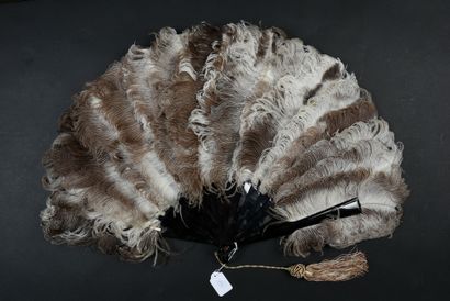 null 
Ostrich feathers, ca. 1880-1890





Fan made of female ostrich feathers.





Brown...