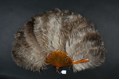 null Ostrich feathers, ca. 1880-1890

Fan made of female ostrich feathers. 

Blonde...
