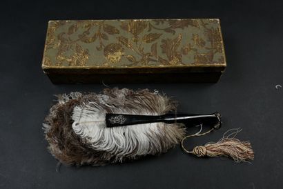 null 
Plumes d’autruches, vers 1880-1890




Éventail en plumes d’autruches femelles.




Monture...