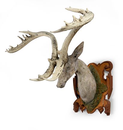 Thamin deer trophy, mounted on a carved and...