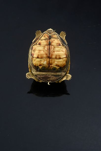 null Rare snuffbox made in a shell of Indian star tortoise (Geochelone elegans),...