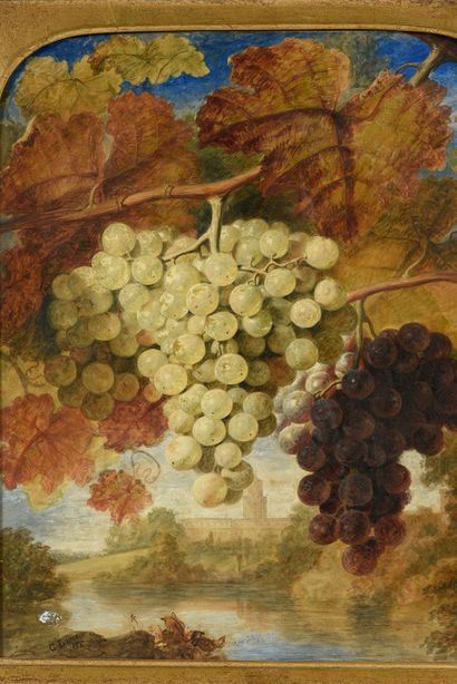 George LANCE (1802 - 1864) 
White and red grapes on a landscape background.
Watercolour,...
