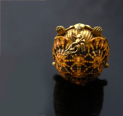 null Rare snuffbox made in a shell of Indian star tortoise (Geochelone elegans),...