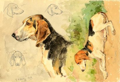 George Frédéric RÖTIG (1873-1961) Etude de chien courant « Poitevin », chien de l'équipage...
