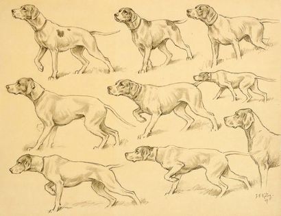 George Frédéric RÖTIG (1873-1961) Etude de chiens d'arrêts Dessin au crayon, signé...