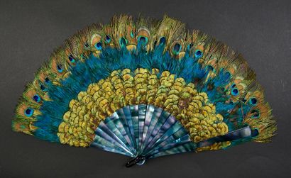 Peacock feathers, circa 1900-1920
Back feather...
