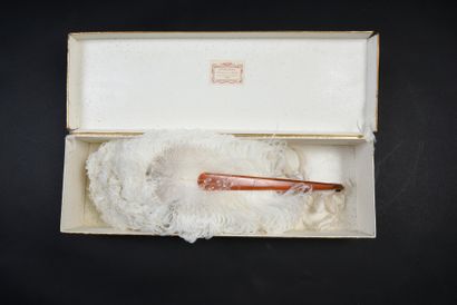null Autruches blanches, vers 1880
Éventail en plumes d'autruches blanches et duvet,...