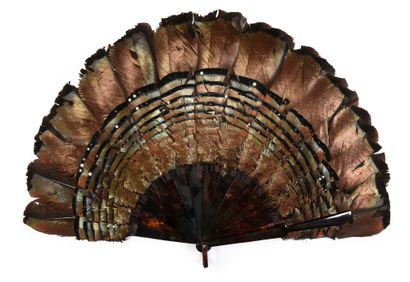 null 
Irisations, circa 1910-1920



Didon feather fan, enhanced with steel sequins.



Brown...