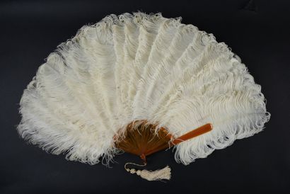 null Plumes d'autruches, vers 1890-1900
Grand éventail en plumes d'autruches blanches.
Monture...