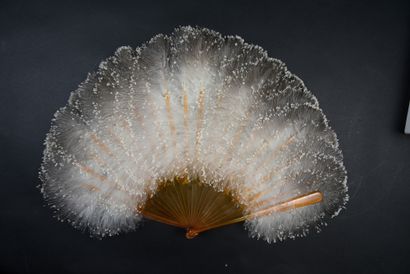 Down, circa 1880
White ostrich feather and...