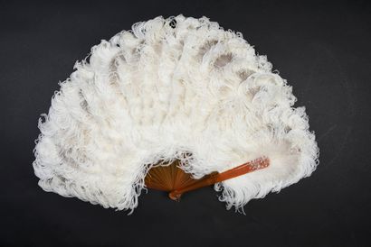 null White Ostriches, circa 1880
White ostrich feather and down fan, slightly crossed.
Blonde...