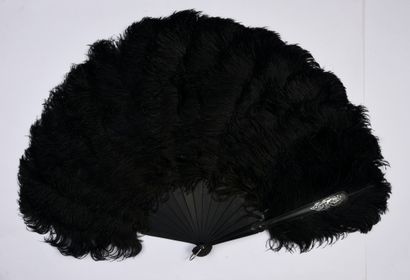 null Black ostriches, circa 1980
Black ostrich feather fan.
Blonde tortoiseshell...