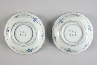 null A pair of Chinese porcelain cups with blue and white underglaze decoration,...