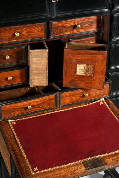 null Ebony cabinet opening with 12 drawers and a flap, revealing 8 drawers veneered...