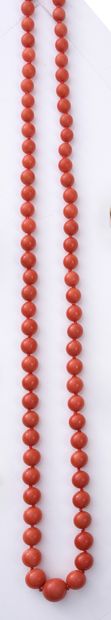 null Necklace of 76 balls of red coral from 6,5 mm to 12,3 mm, clasp with invisible...