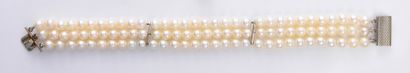 null Bracelet with three rows of cultured pearls, clasp in yellow gold 750e with...