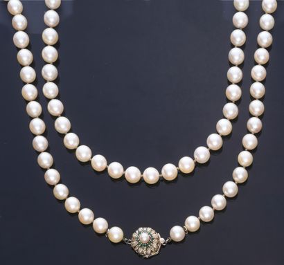 null Collier opéra en perles de culture de 8,2 mm, fermoir à cliquet invisible en...