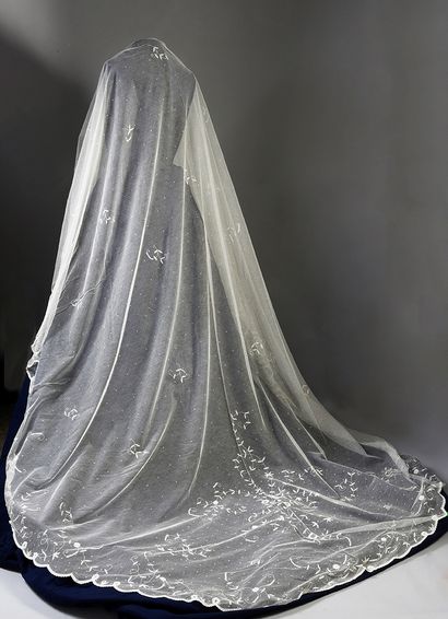 Bridal veil, Princess application, Belgium,...
