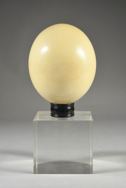  CLAUDE FRANCOIS (1939/1978): Author, composer and performer. 1 Ostrich egg mounted...