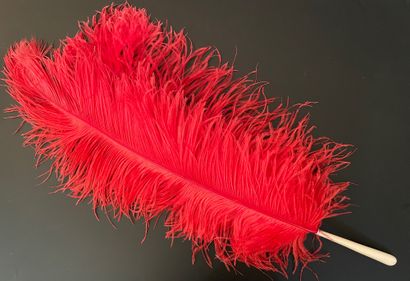 null Framboise, vers 1900
Éventail en plumes d'autruches rouges, crossées.
Manche...
