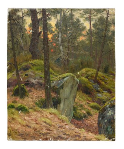Georges Frédéric ROTIG (1873 - 1961) Coucher de soleil dans la forêt de Fontainebleau.
Huile...