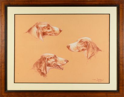 Gilles Sarthou (1953) Trois têtes de chiens de chasse.
Sanguine et craie blanche,...