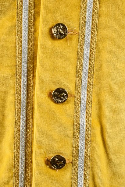 null Yellow vest, venery braid, 7 buttons of the crew Fief Pelouse 1st mod (1986...