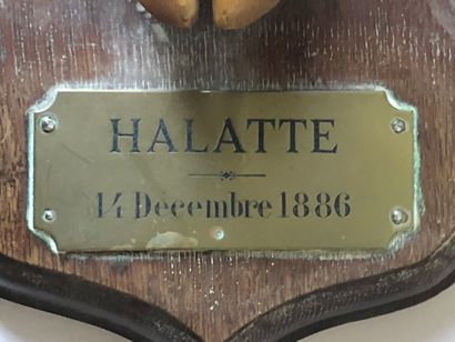 null Pied d'honneur de cerf avec une plaque: Halatte 14 Décembre 1886 (Équipage du...