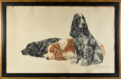 Léon DANCHIN (1887 - 1938) Three cocker spaniels Engraving in color, signed lower...