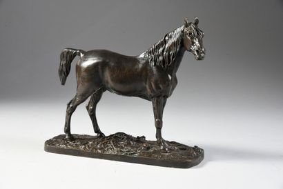 Pierre-Jules MENE (1810 - 1879) Ibrahim. Purebred Arabian horse.
Bronze with brown...