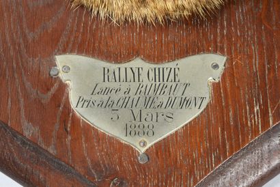 null Tête de chevreuil naturalisée, portant une plaque du 3 mars 1888 pris par le...