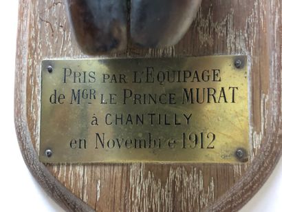 null Pied d'honneur de cerf avec une plaque: «Pris par l'équipage du Prince Murat...